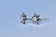 Silver Star Earrings with Zircons