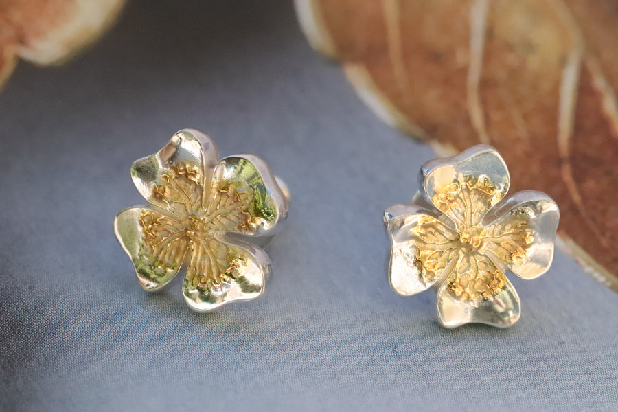Boucles d'oreilles trèfle en argent 